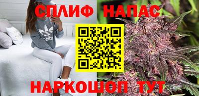 бошки Гусев
