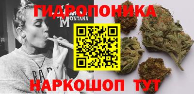 бошки Гусев